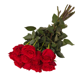 Kwiaciarnia Laflora - 11 róż czerwonych
