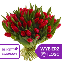 Kwiaciarnia Laflora - Czerwone tulipany od 11 do 500 szt