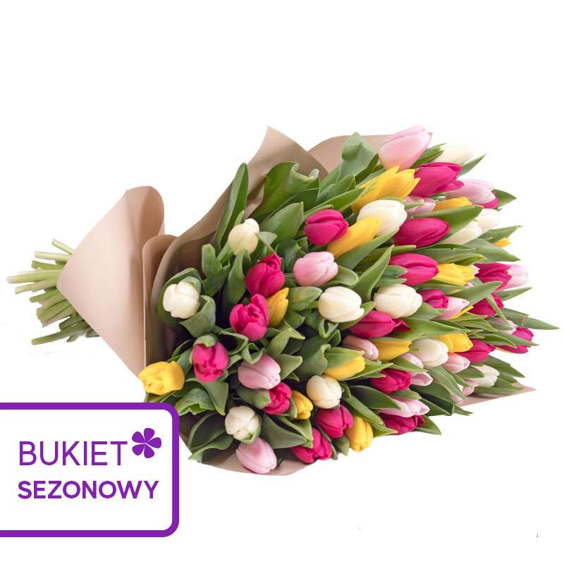 Kwiaciarnia Laflora - Barwne tulipany