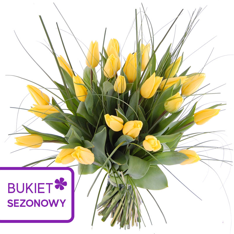 Kwiaciarnia Laflora - Żółte tulipany