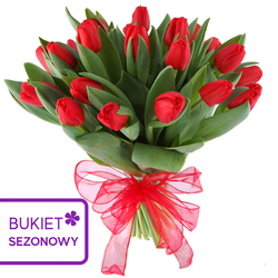 Kwiaciarnia Laflora - Czerwone tulipany