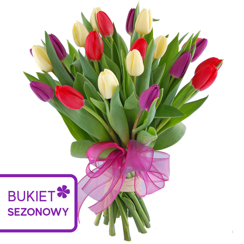 Kwiaciarnia Laflora - Kolorowe tulipany