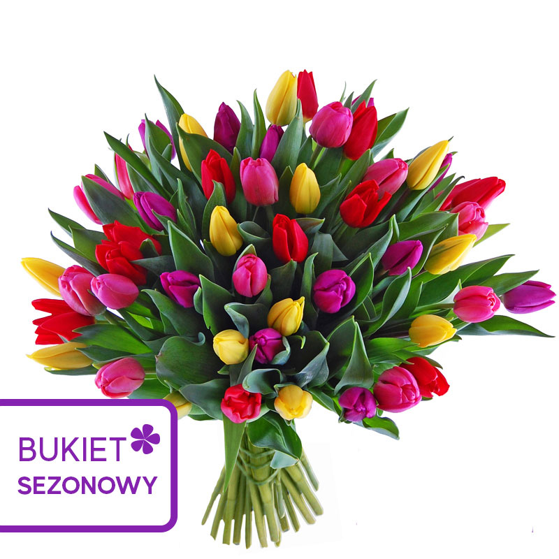Kwiaciarnia Laflora - Bukiet 50 kolorowych tulipanów