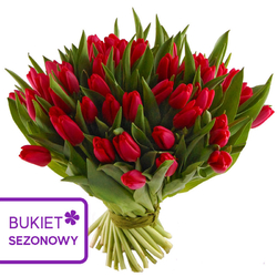 Bukiet 50 czerwonych tulipanów