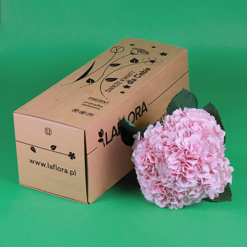 Kwiaciarnia Laflora - Bukiet z hortensji różowych