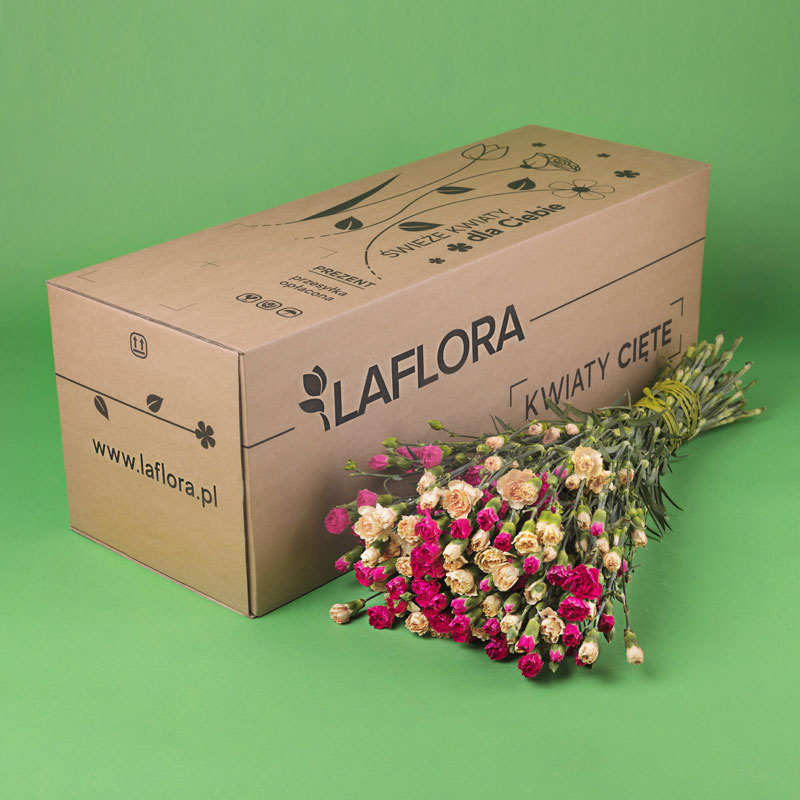 Kwiaciarnia Laflora - Goździki gałązkowe