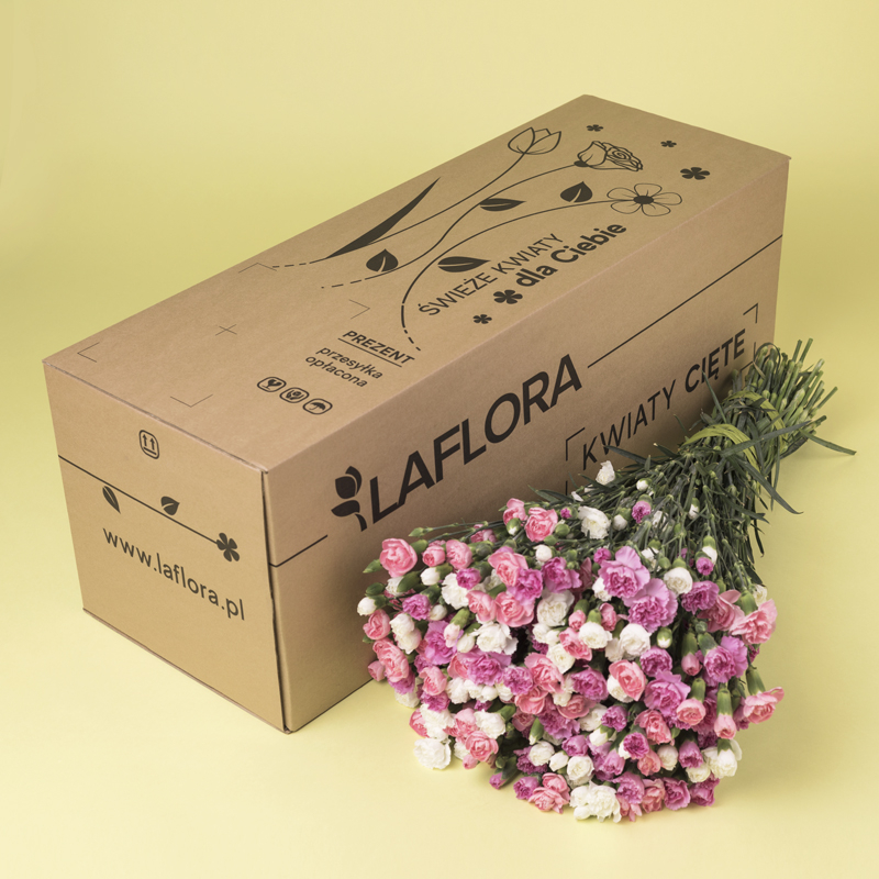 Kwiaciarnia Laflora - Kolorowe goździki