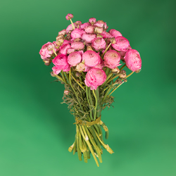 Kwiaciarnia Laflora - Bukiet jaskry