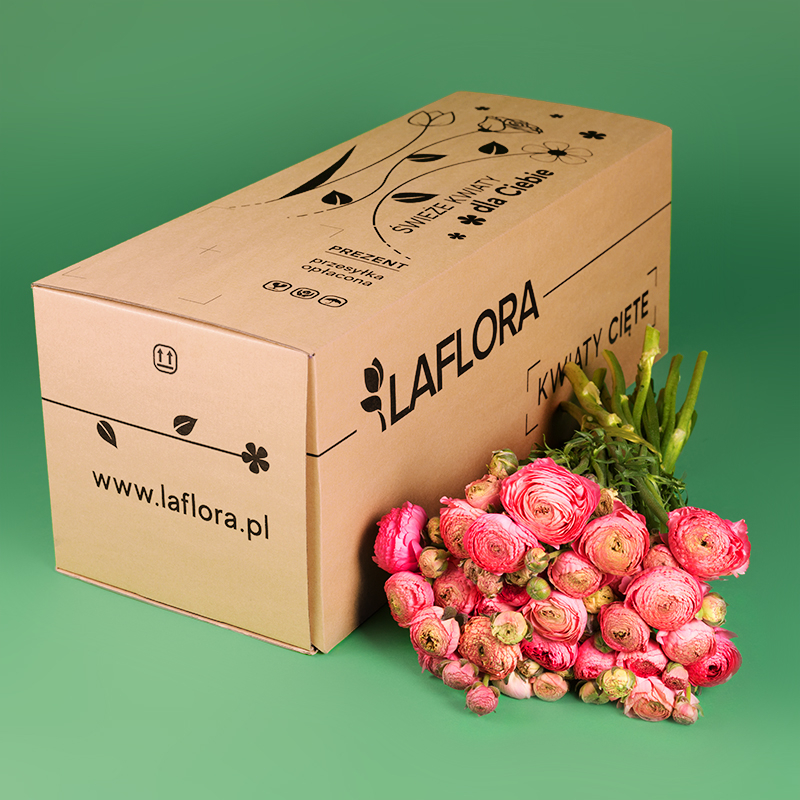 Kwiaciarnia Laflora - Bukiet jaskry