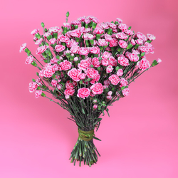 Kwiaciarnia Laflora - Różowe goździki