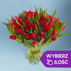 Kwiaciarnia Laflora - Czerwone tulipany od 11 do 500 szt