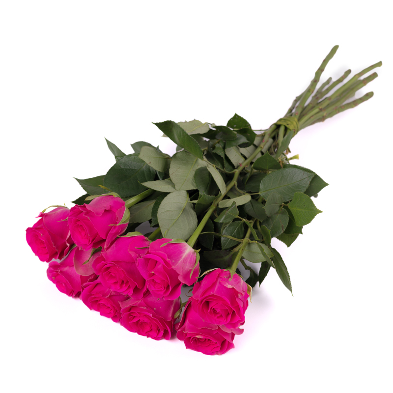Kwiaciarnia Laflora - 9 różowych róż Kwiaciarnia Laflora - 9 różowych róż