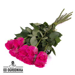 Kwiaciarnia Laflora - 9 różowych róż