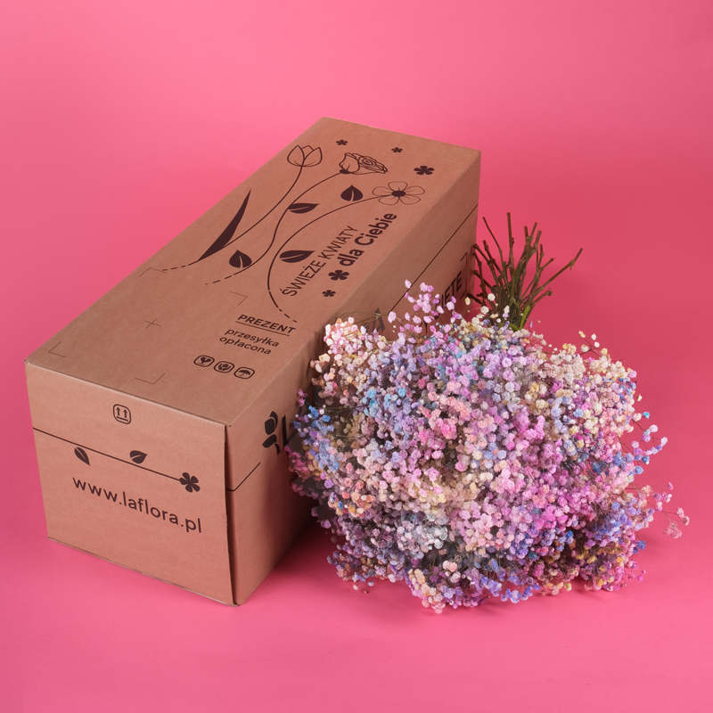 Kwiaciarnia Laflora - Bukiet kolorowa gipsówka