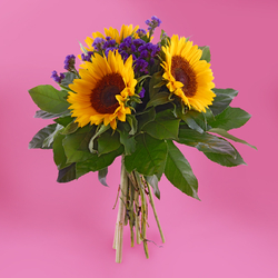 Kwiaciarnia Laflora - Pełnia lata