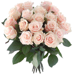 Kwiaciarnia Laflora - Białe róże