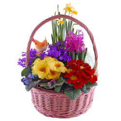 Wielkanocny koszyk Kompozycje kwiatowe